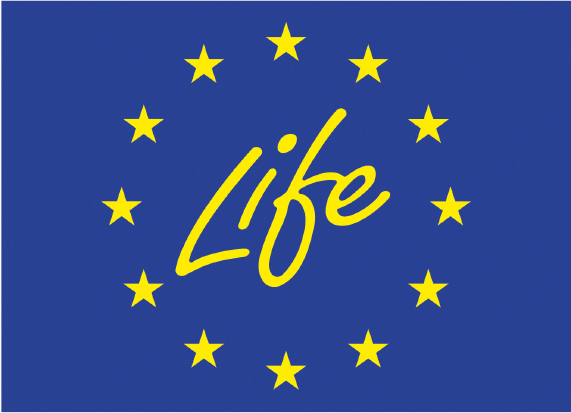 logo life project